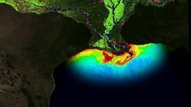 Existe una zona en el Golfo de México donde no puede haber vida