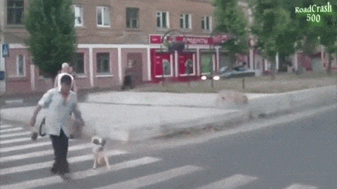 Esto es lo que sucede en Rusia cuando le das el paso a un peatón