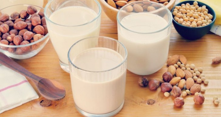 Conoce los diferentes tipos de leche vegetal y aprende a prepararlas en casa
