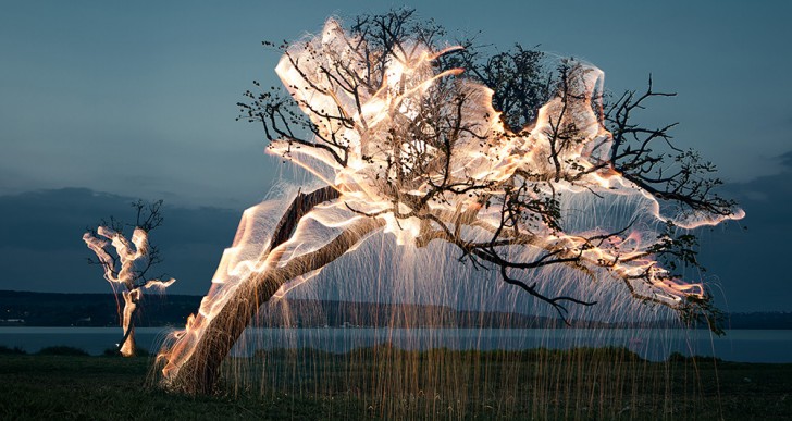 Impresionantes fotos de árboles que escurren luz
