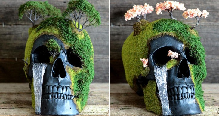 Estos cráneos bonsai son macabros y fascinantes