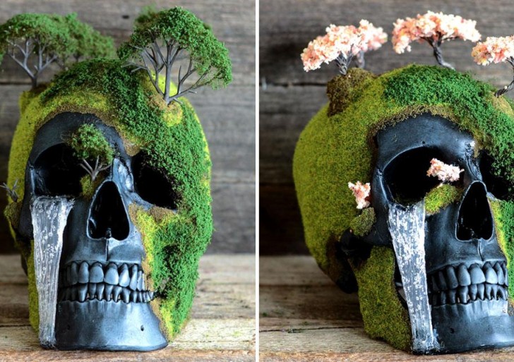 Estos cráneos bonsai son macabros y fascinantes