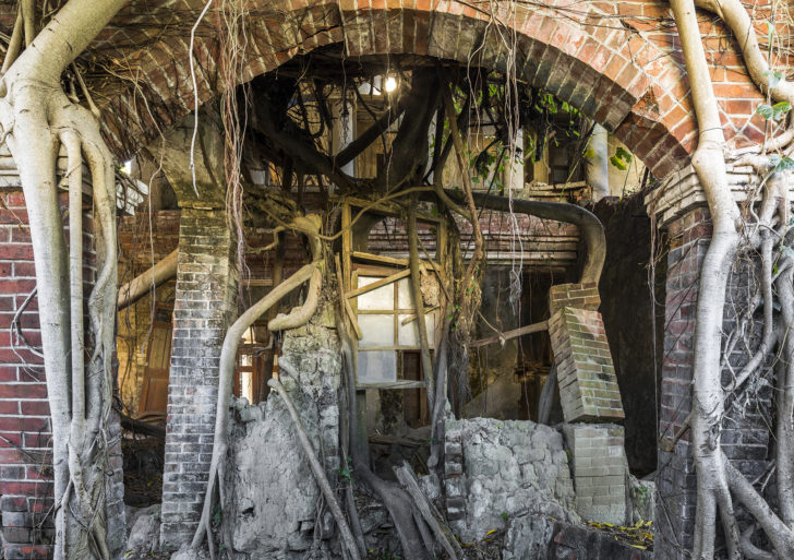 La naturaleza retoma estos edificios abandonados