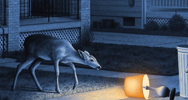 Animales nocturnos ocupan las calles en las obras de Nicholas Moegly